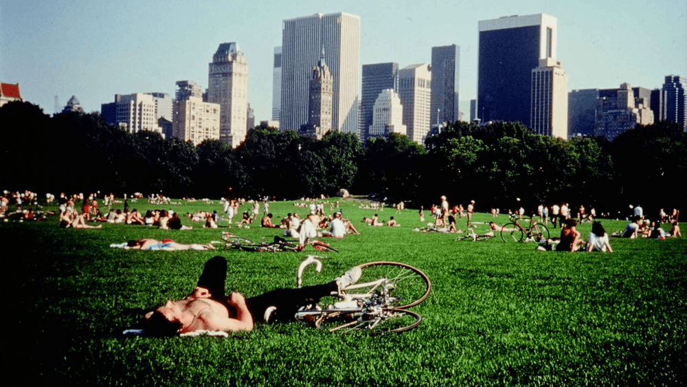 CENTRAL PARK