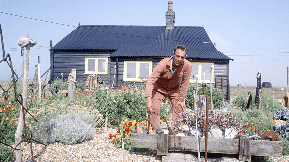 DEREK JARMAN: DO WE CONTINUE TO GROW MARIGOLDS EVEN AS THE EMERGENCY SIRENS BLARE?