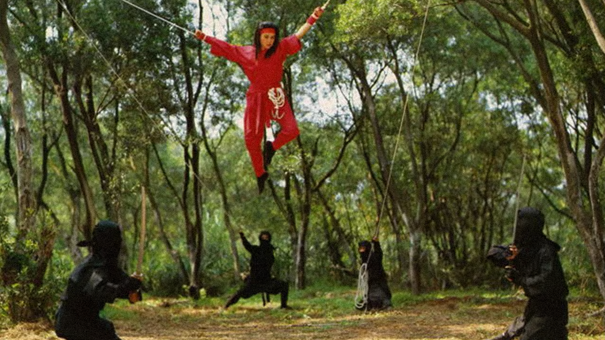 THE CHALLENGE OF THE LADY NINJA image