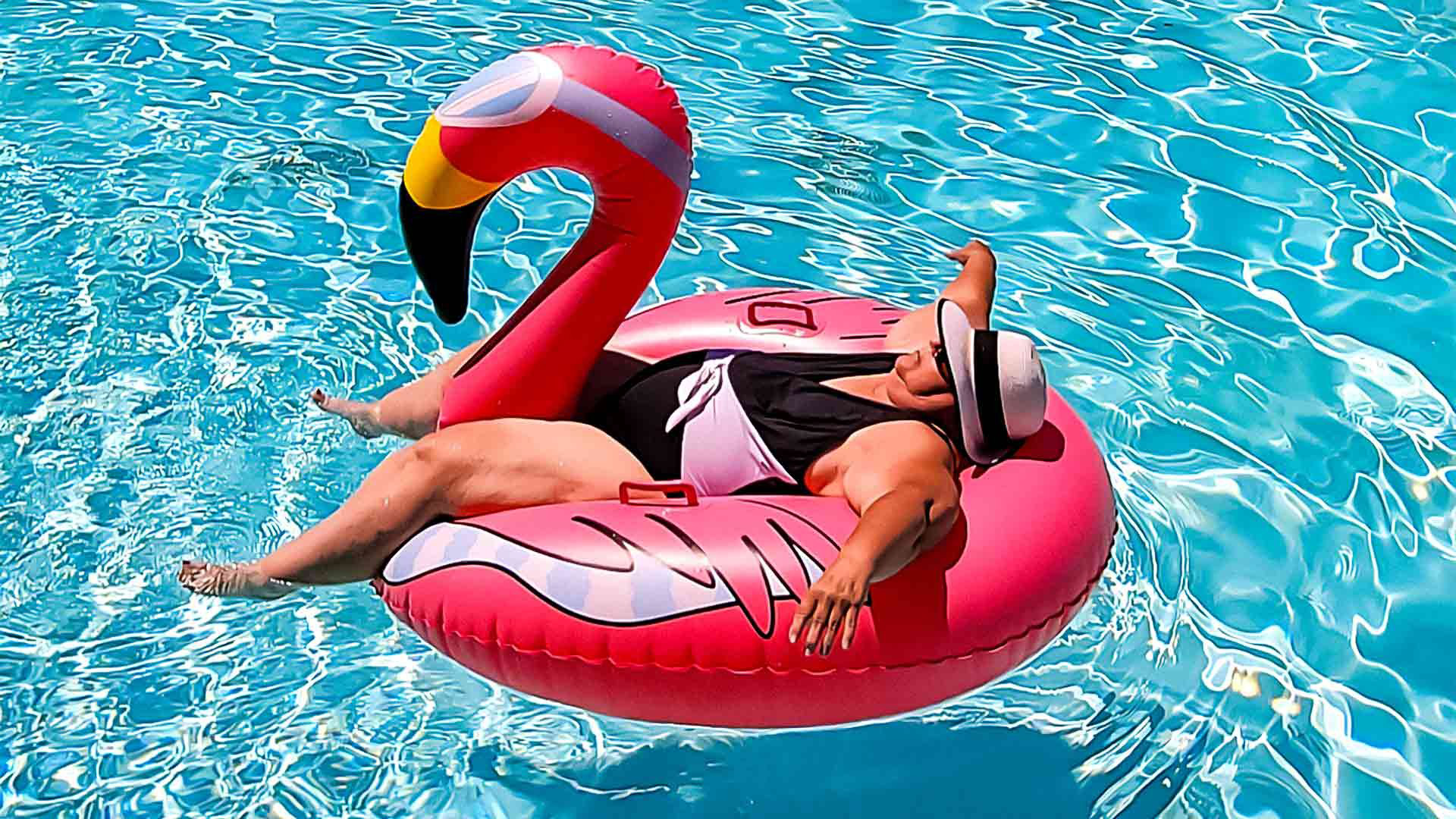 SECS FEST: THE FLAMINGO image