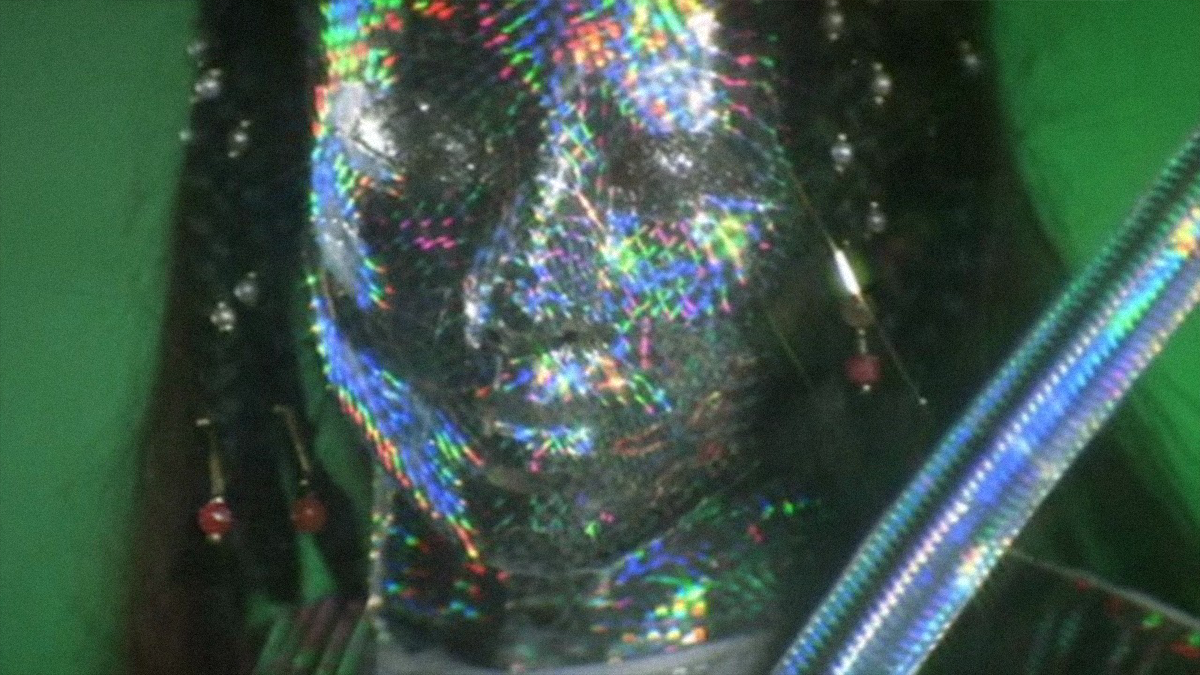 PORTRAIT IN CRYSTAL image