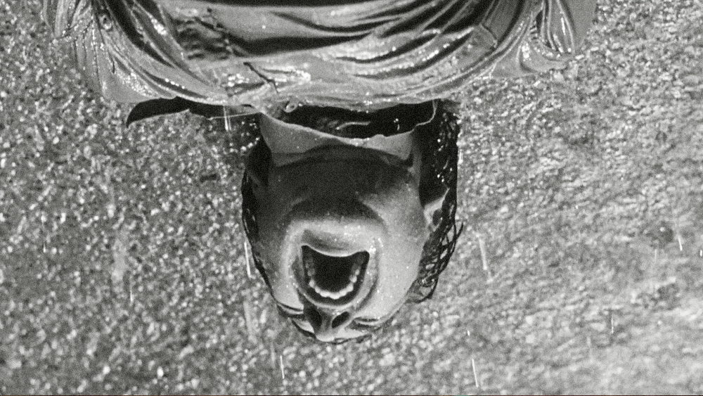 SHOCK CORRIDOR image