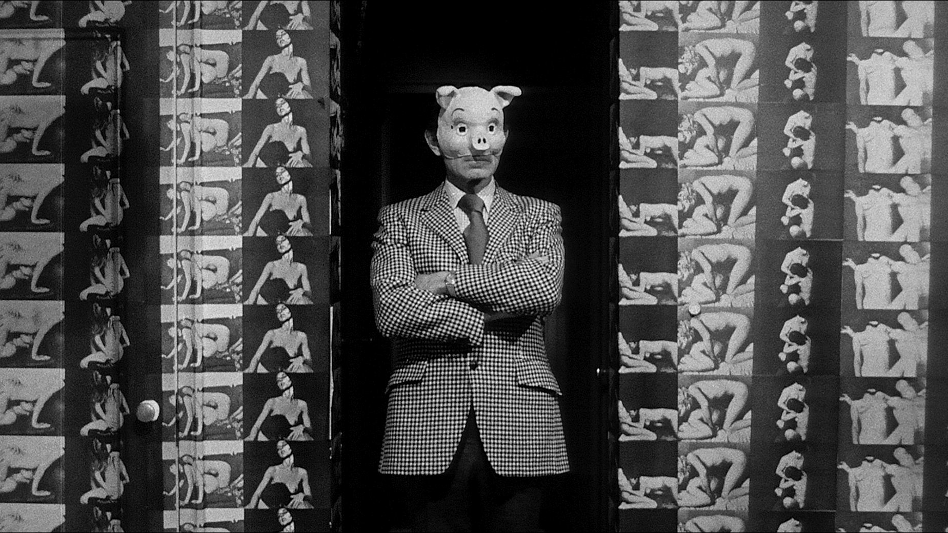 THE TELEPHONE BOOK image