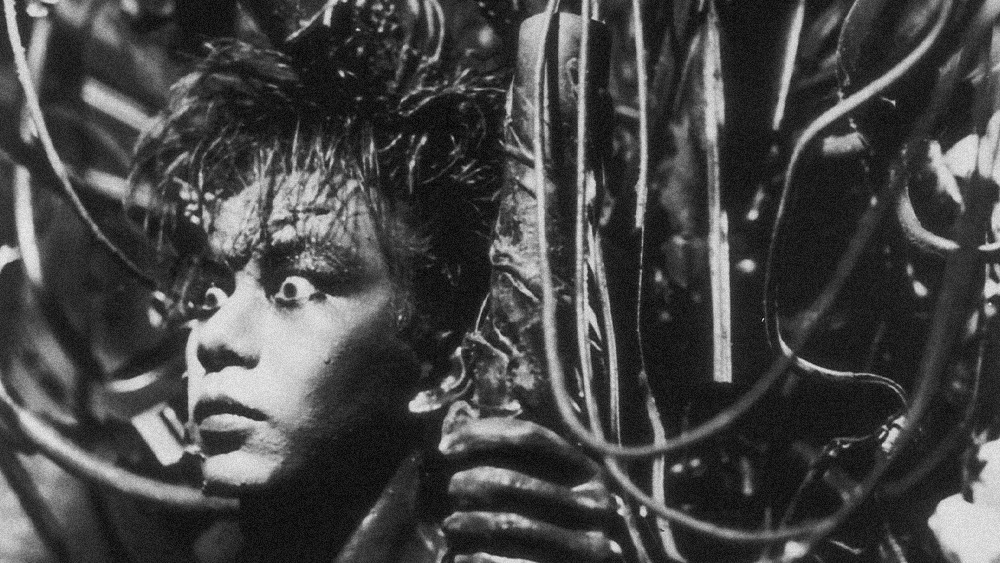 IRON LUNG PRESENTS TETSUO THE IRON MAN W/ PAINTED FLIES image