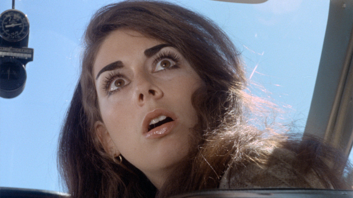 SECS FEST PRESENTS VIXEN! image