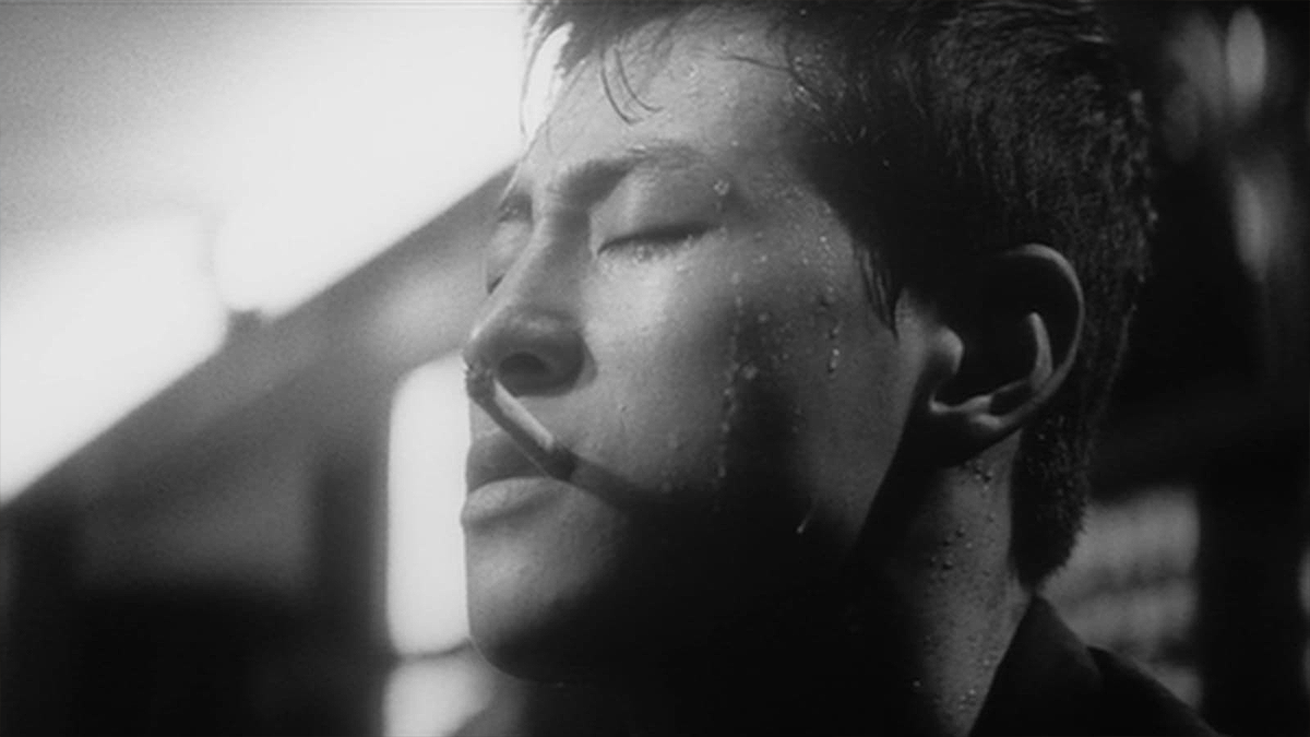 THE WARPED ONES image