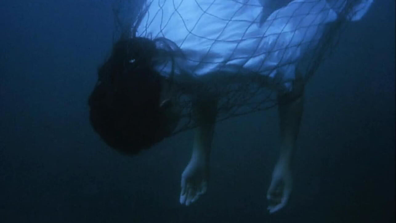 Homepage image